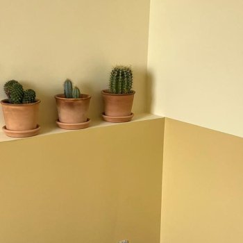 Chambre Céleste, décoration